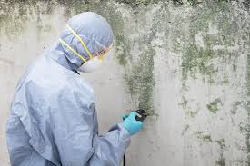 Best Airborne Mold Testing  in Edmonston, MD